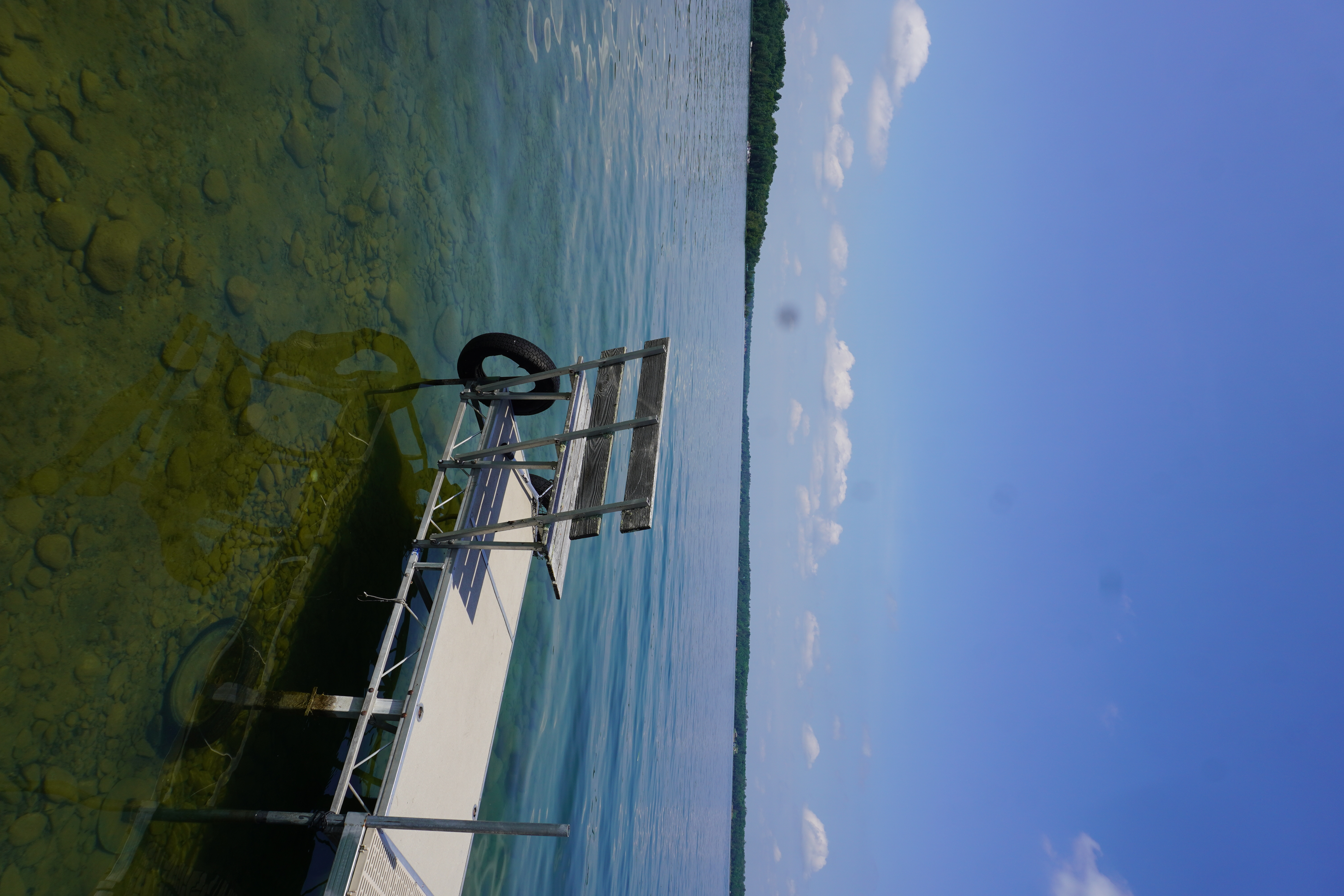 Loons on Deer Lake